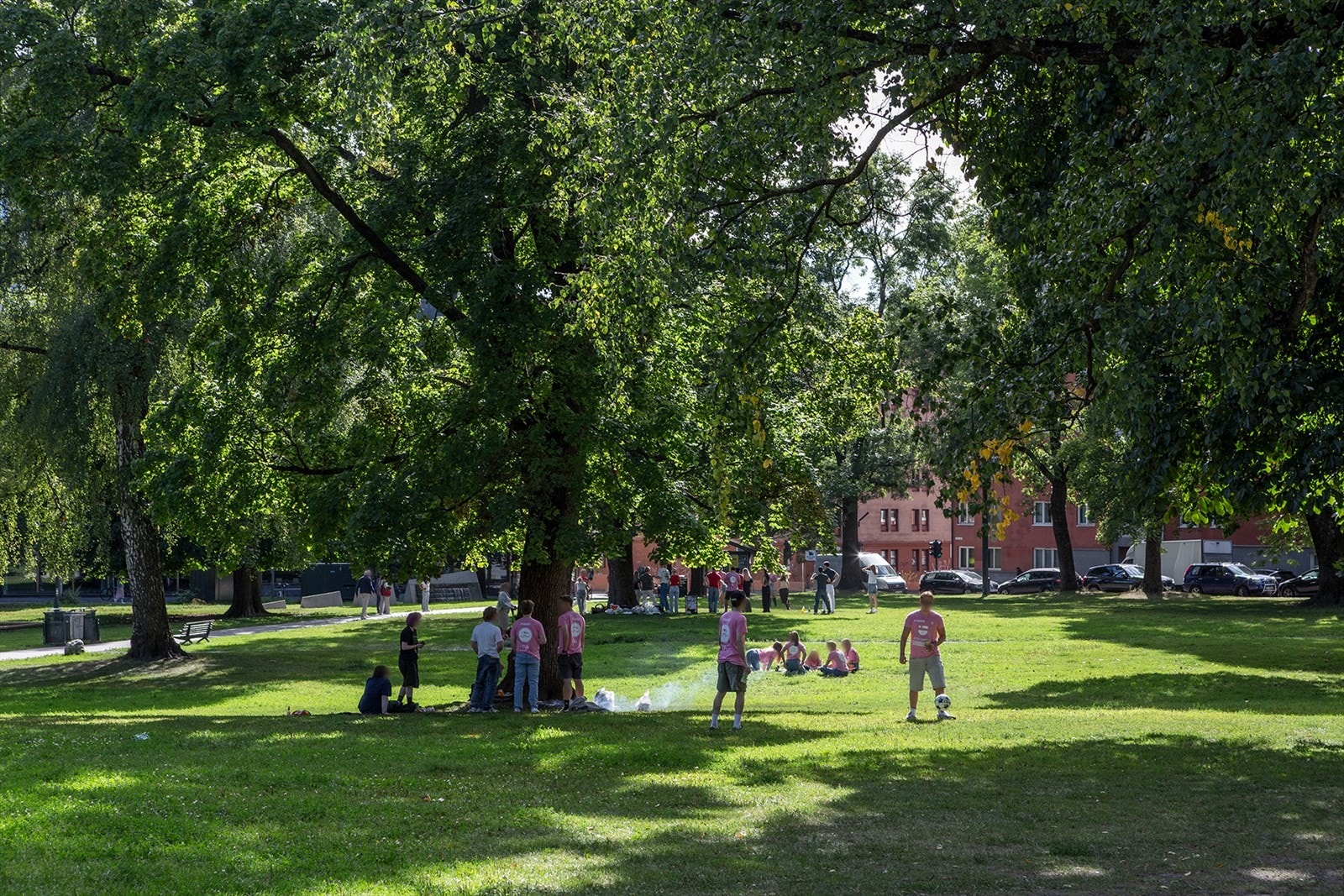 Sofienbergparken - romslige grøntarealer for piknik, trening og avslapning på fine dager. Galleribilde