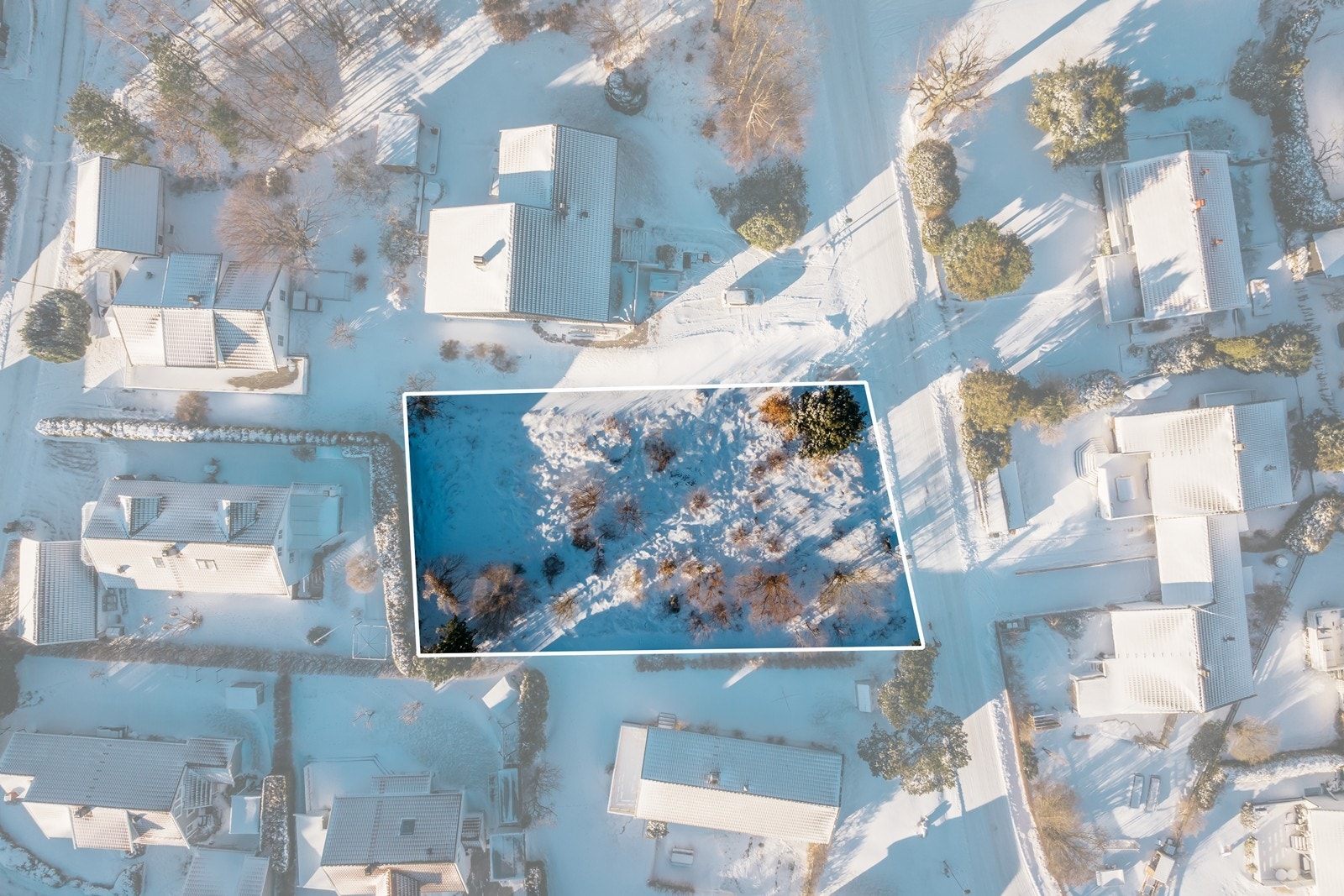 Ørnefoto. Galleribilde