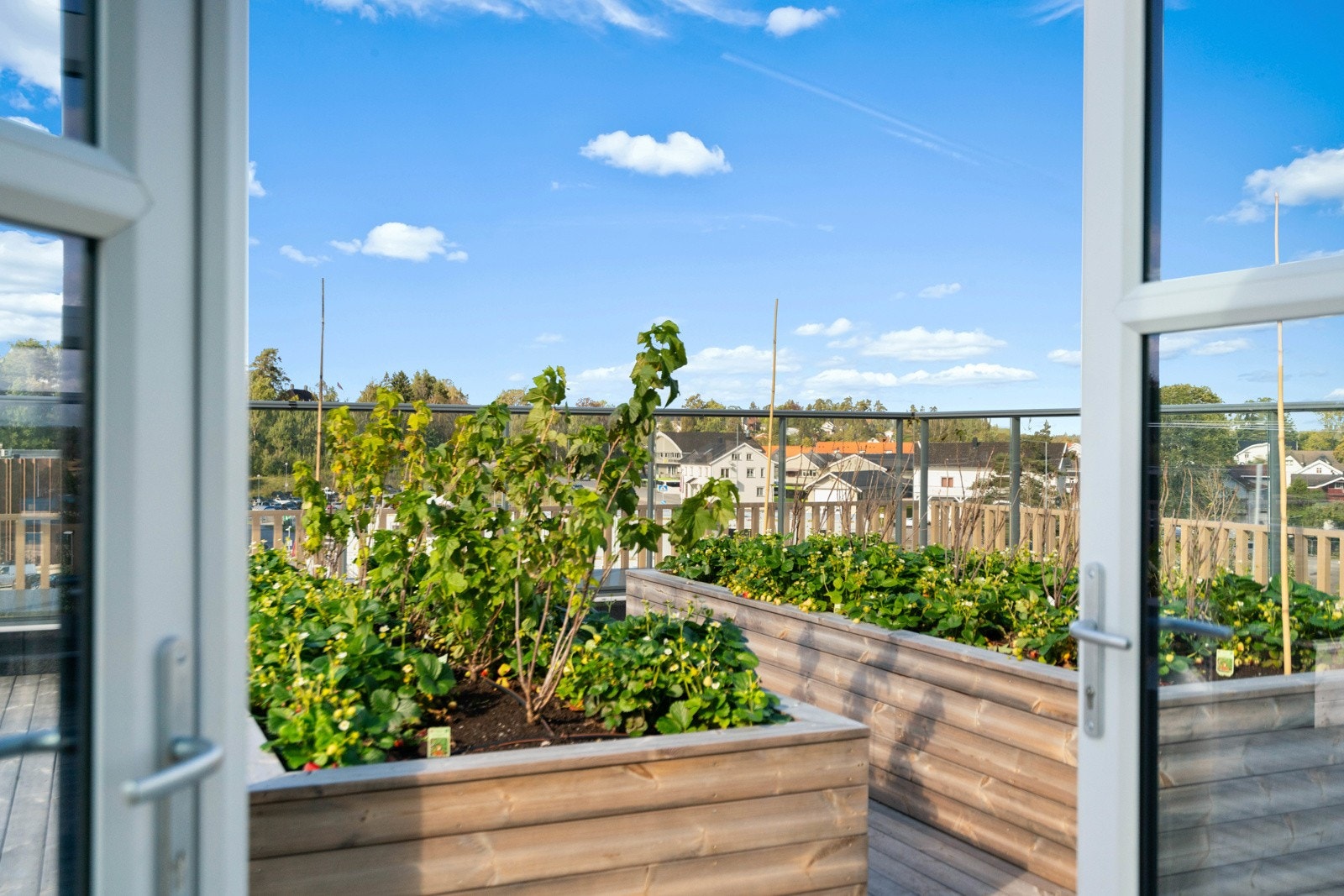 Det er også et flott sted for å drive med dyrking der en kan aktiviseres og sosialiseres. Galleribilde