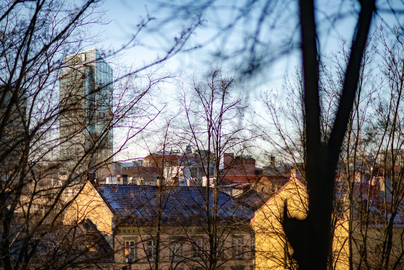 Her får du mulighet til en sjeldent god utsikt over Oslo. Galleribilde