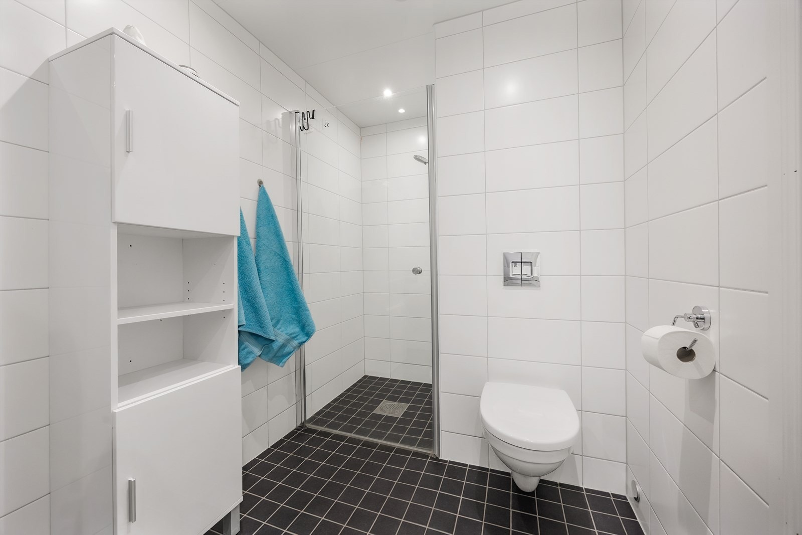 Rommet er utstyrt med vegghengt toalett og en romslig dusjnisje. Galleribilde