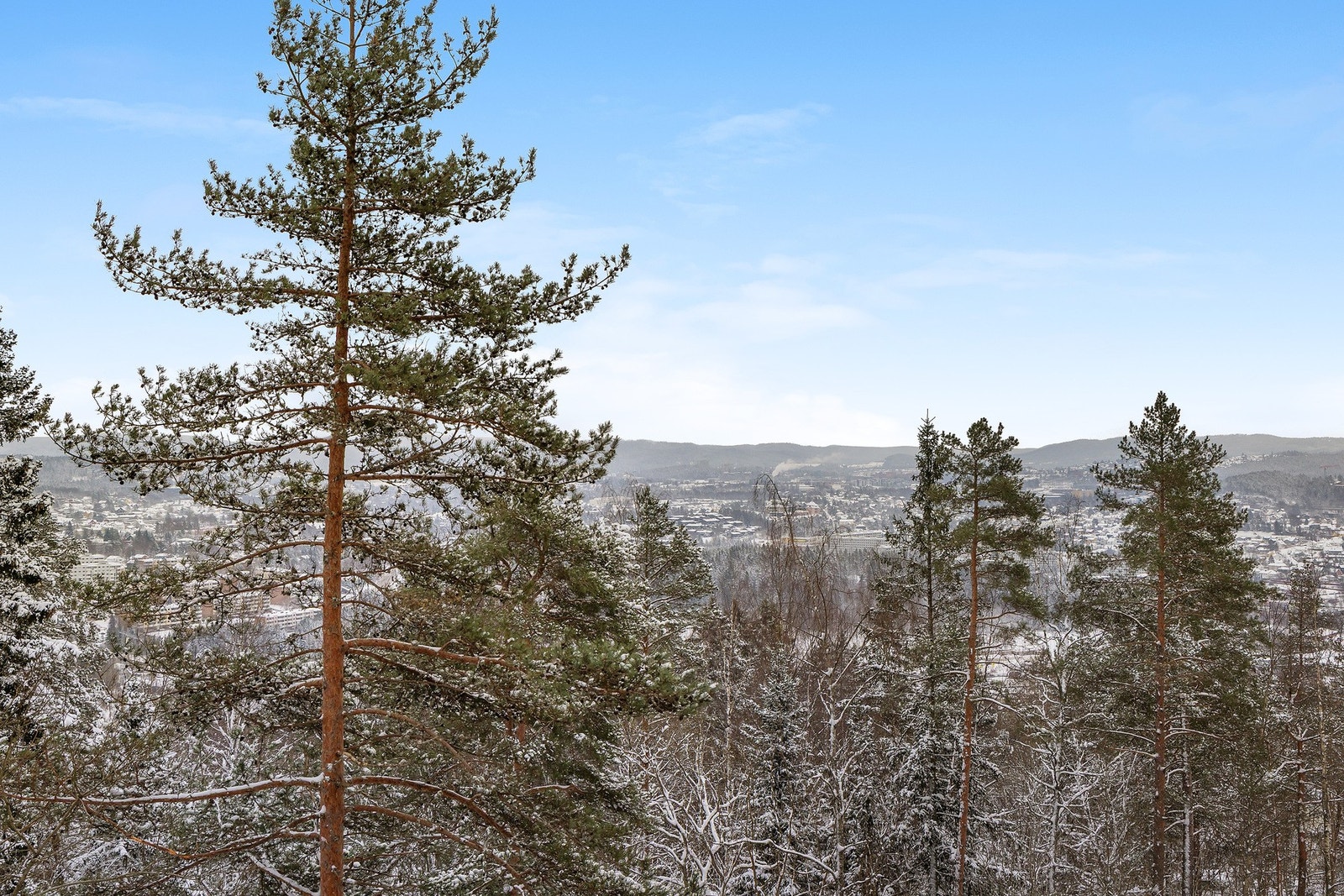 Boligen ligger på Romsås, som svever høyt over Oslo. Her har du en deilig åpen utsikt Galleribilde