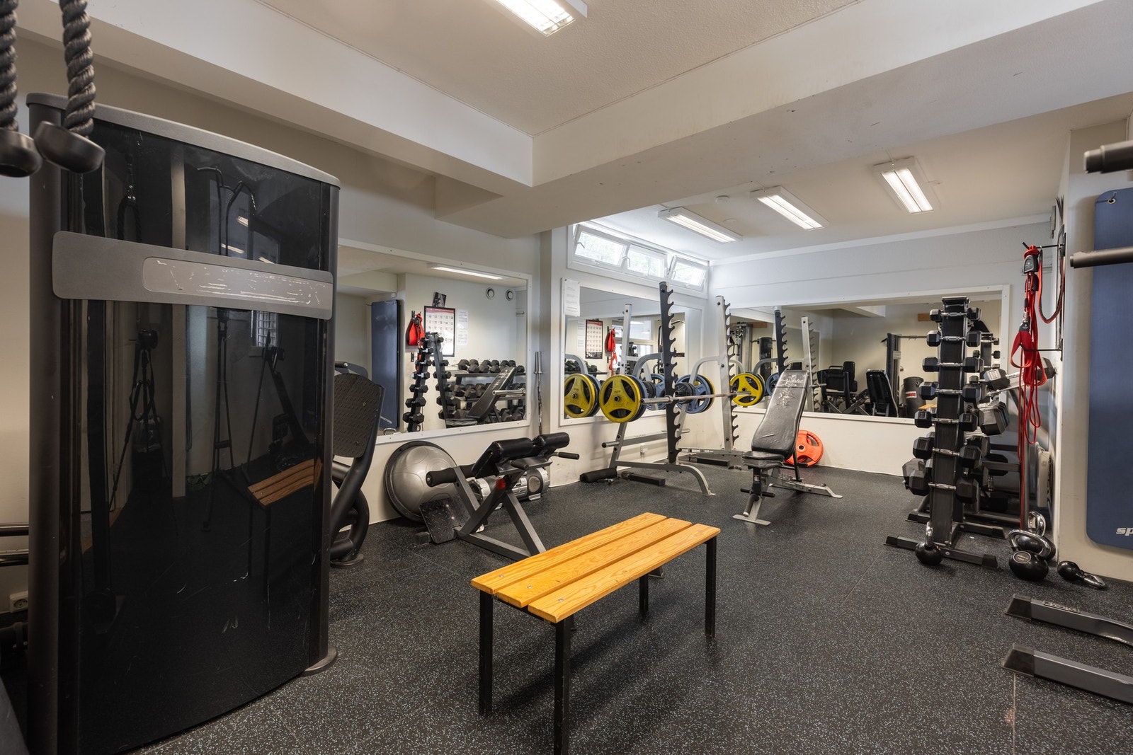 Felles trimrom. Galleribilde