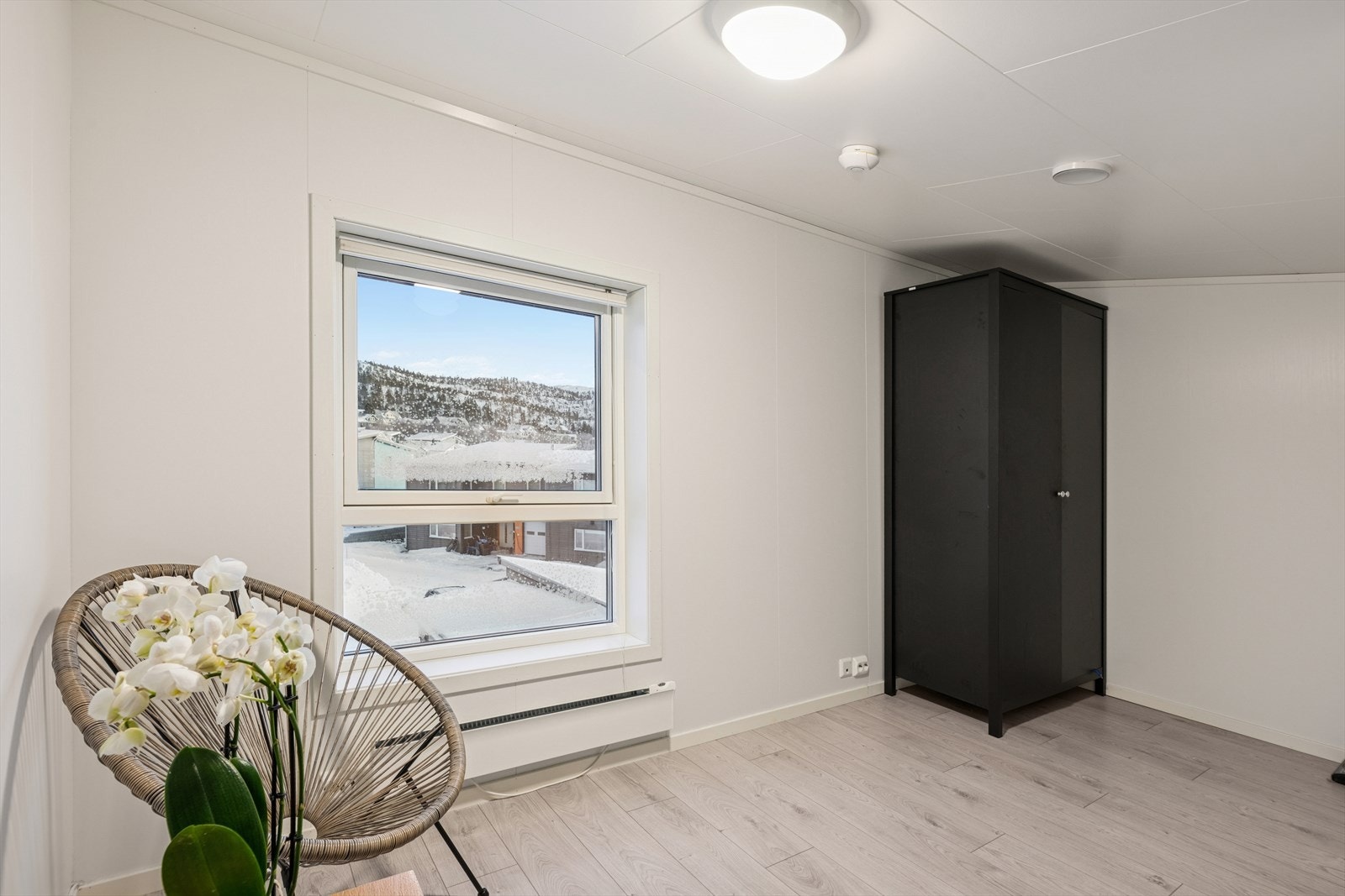 Et vindu slipper inn godt med naturlig lys. Galleribilde