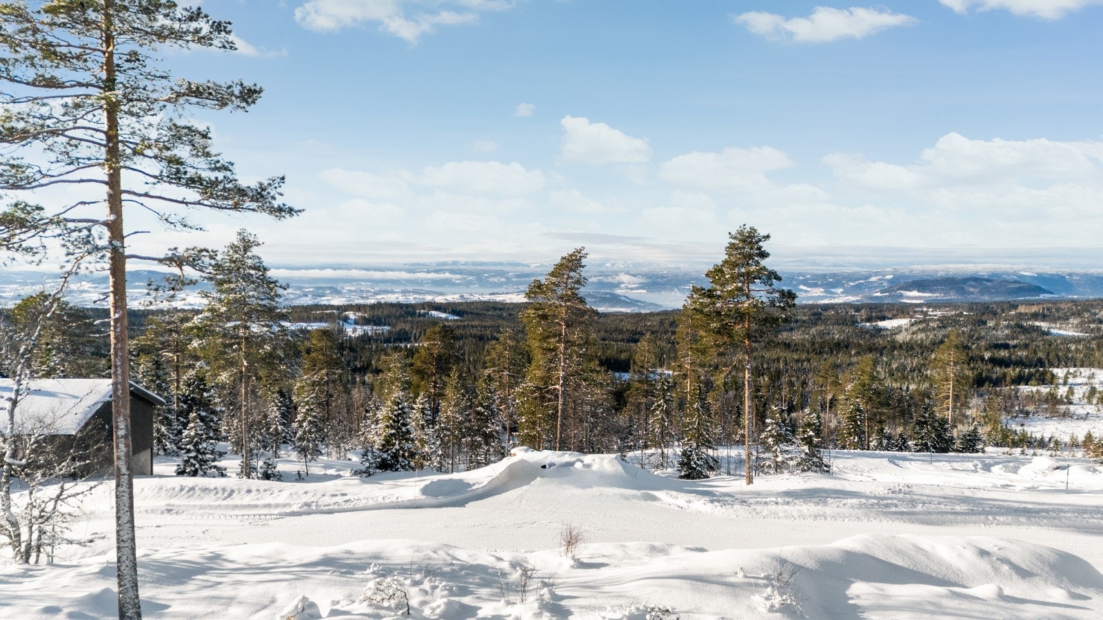 På store tomter større enn 800 kvm tillates maks BYA = 220 kvm. Galleribilde