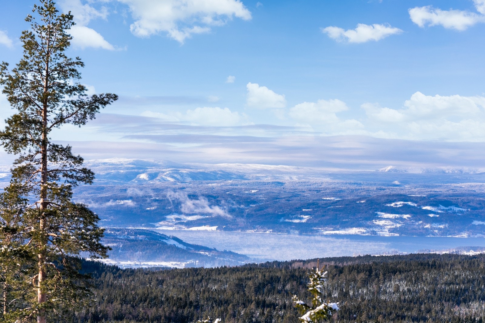 Flott utsikt Galleribilde