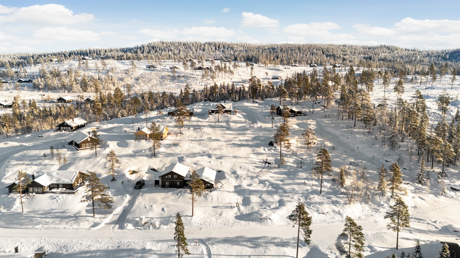 På store tomter større enn 800 kvm tillates maks BYA = 220 kvm. Galleribilde