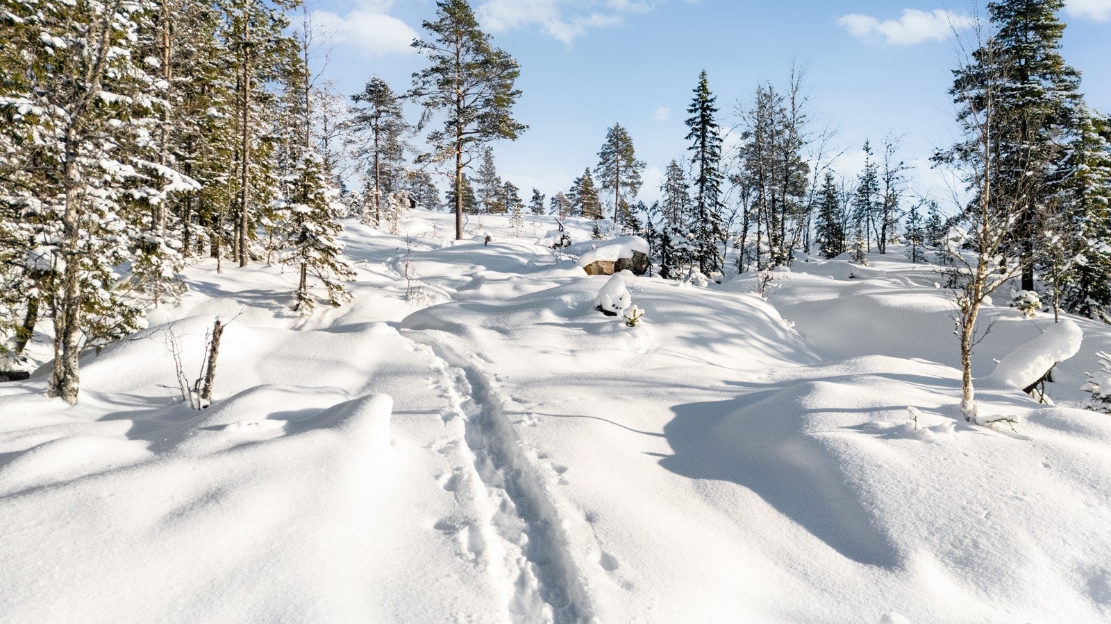 Det tillates oppført 3 bygninger pr tomt. En hytte og to sidebygninger (anneks, uthus og garasje). Galleribilde