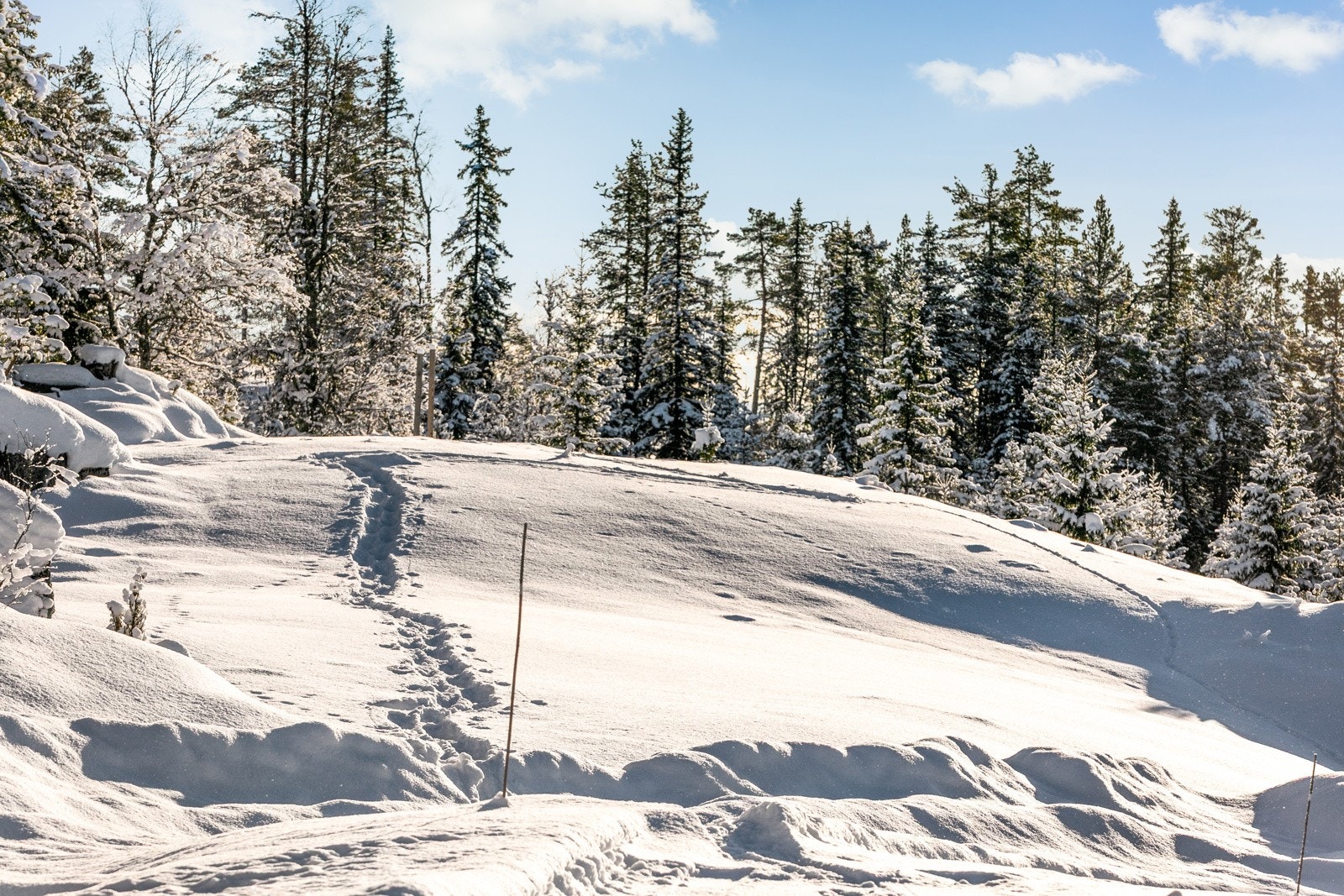 Området er familievennlig og svært populært blant både fastboende og hyttefolk. Galleribilde