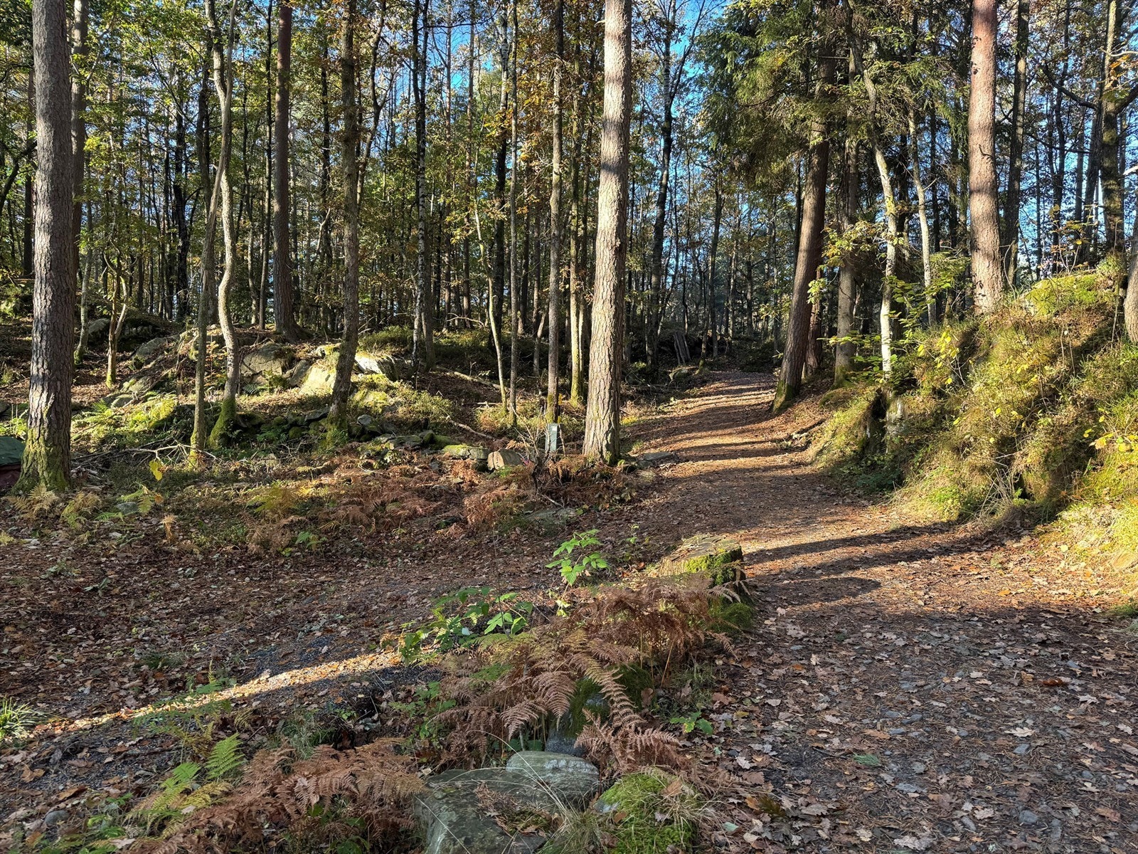 Bred og god sti fra bommen til Indre Fidjekilen 17 Galleribilde