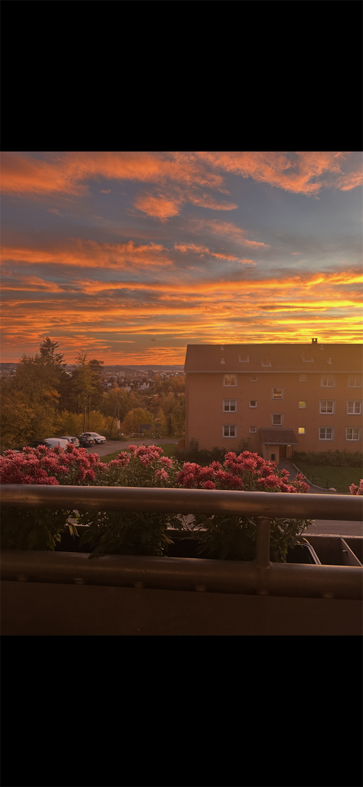 Privatbilde fra selger. Galleribilde