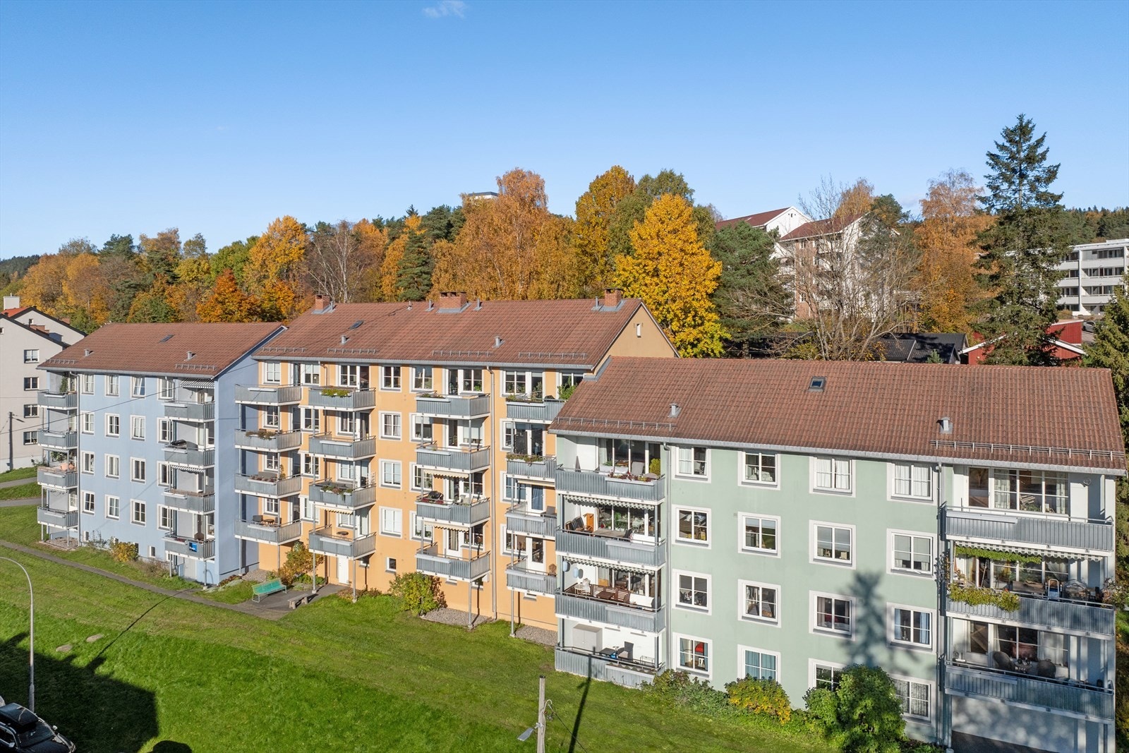 Stemningsfullt bilde fra en vakker og solrik høstdag. Galleribilde