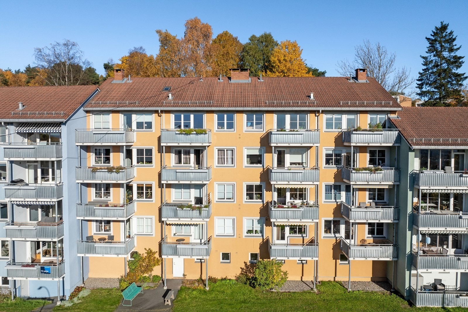 Velkommen til visning! Galleribilde