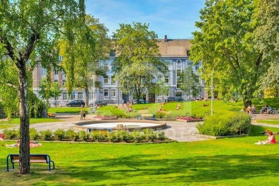 Vakre Lademoparken rett over gaten Galleribilde