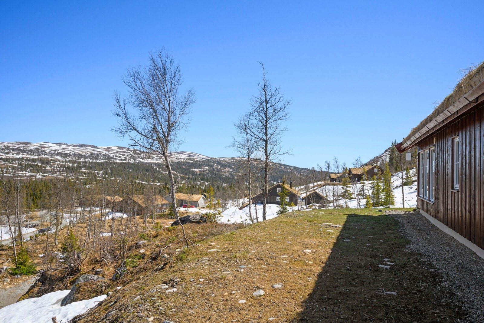 Deler av tomta, som for det meste er naturtomt. Galleribilde