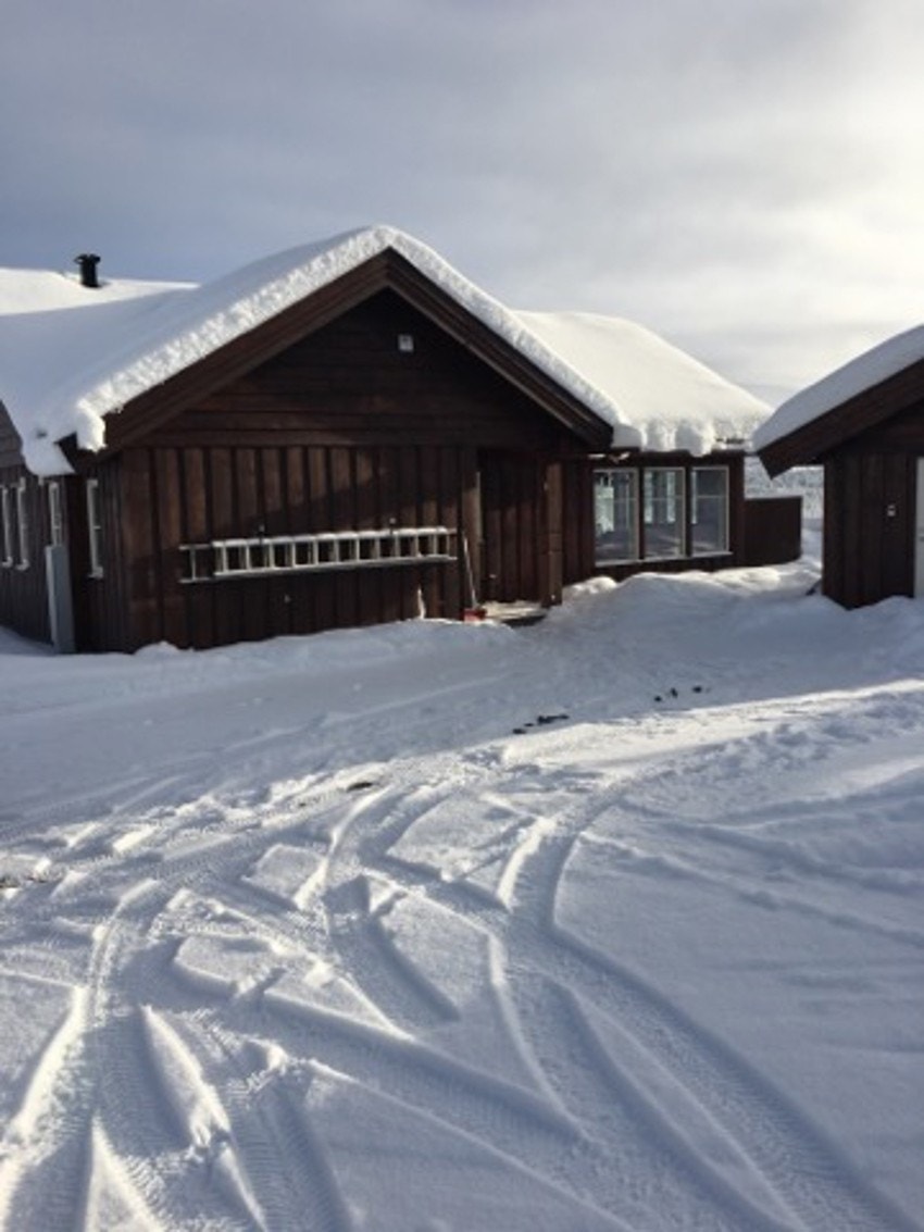 Gårdsplassen Galleribilde