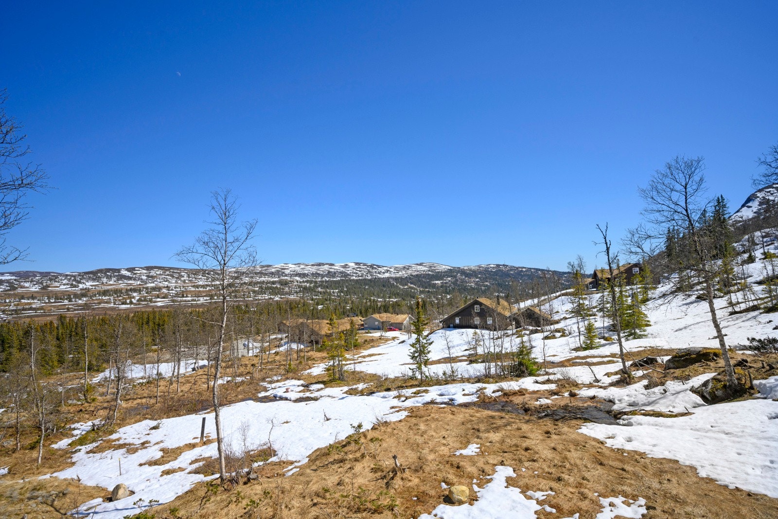 Nærområdet Galleribilde