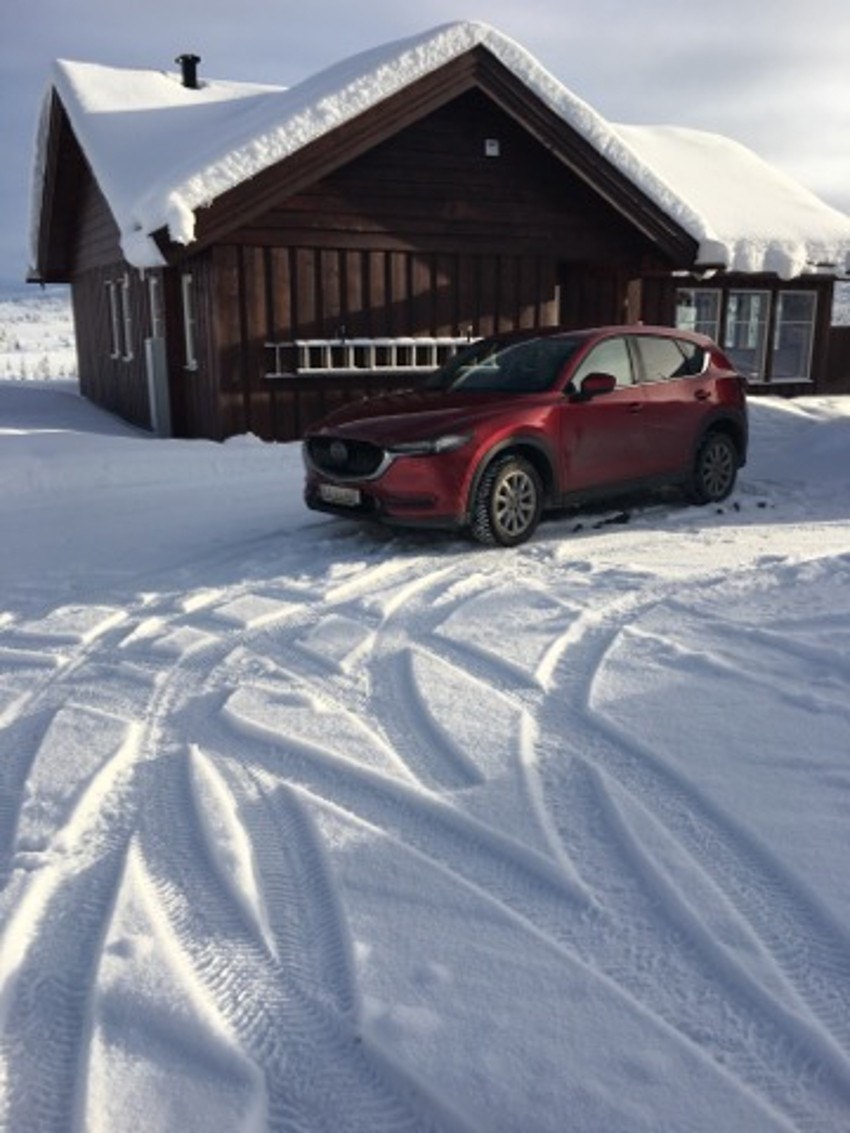 Det er gode parkeringsmuligheter rett utenfor inngangsdøren Galleribilde