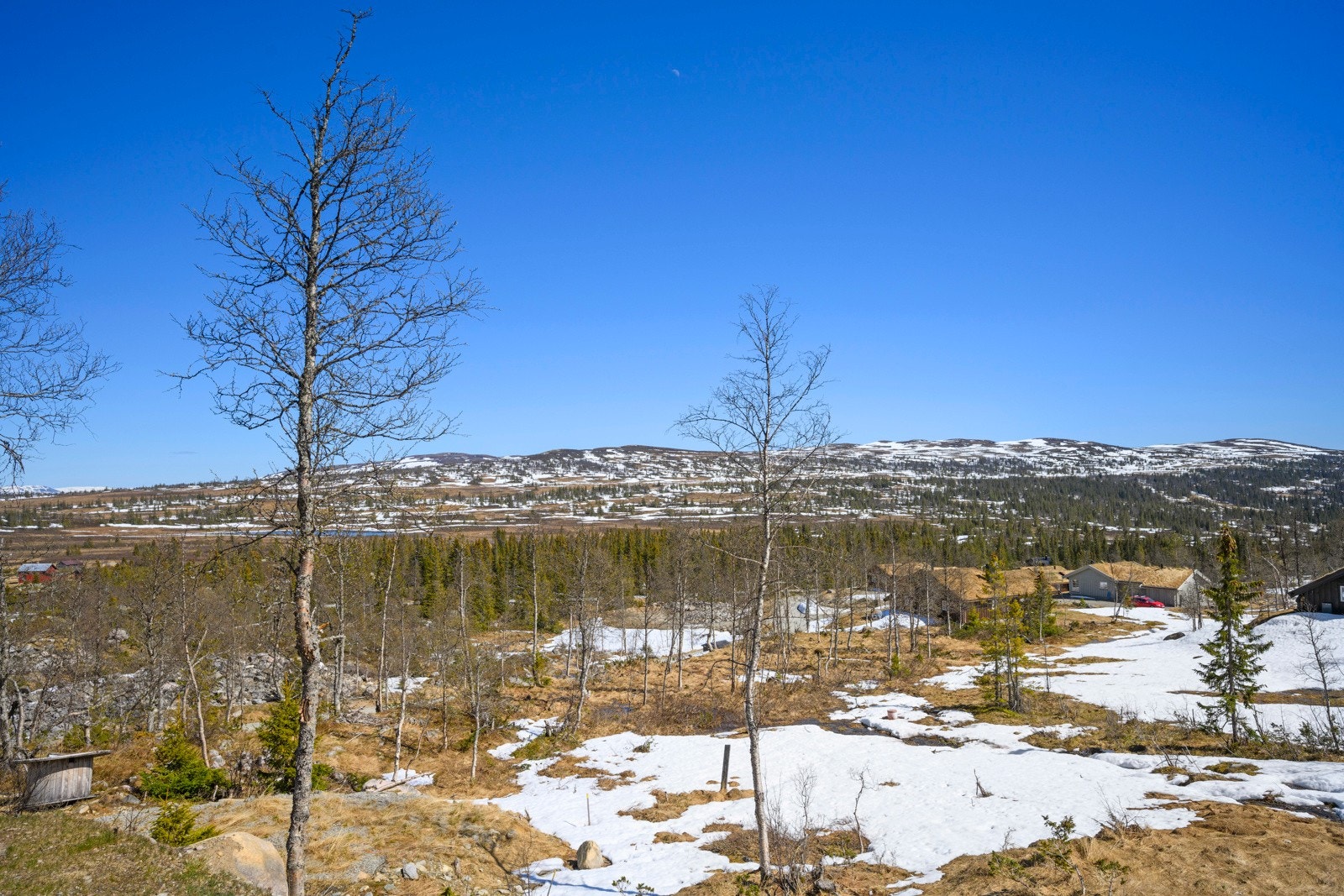 Utsikten fra hytta Galleribilde