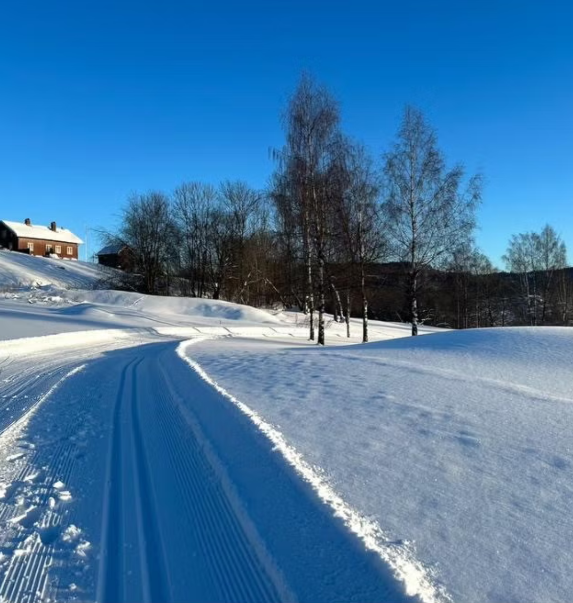 Selgers private bilde fra golfbanen på vinteren. Galleribilde