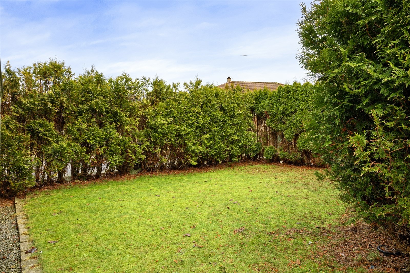 Skjermet hageområde med gressplen og ulik beplanting. Galleribilde