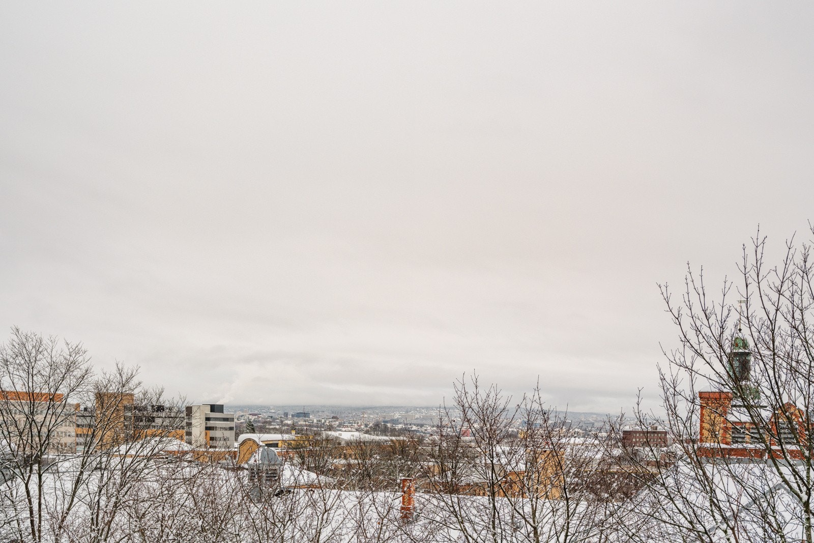 Her sitter du høyt, fritt og solrikt med flott utsikt over grønne tretopper og byens tak - en levende utsikt som forandrer seg med årstidene. Galleribilde