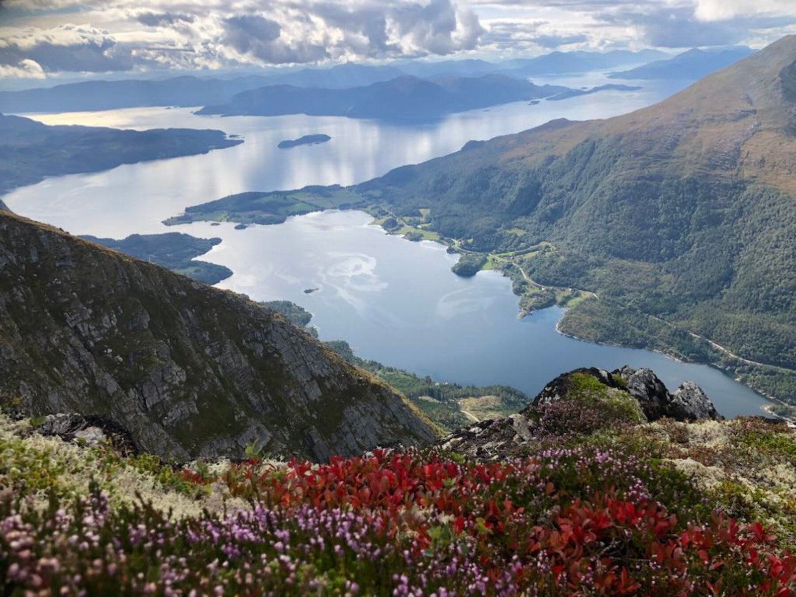 Vakkert skue! Galleribilde