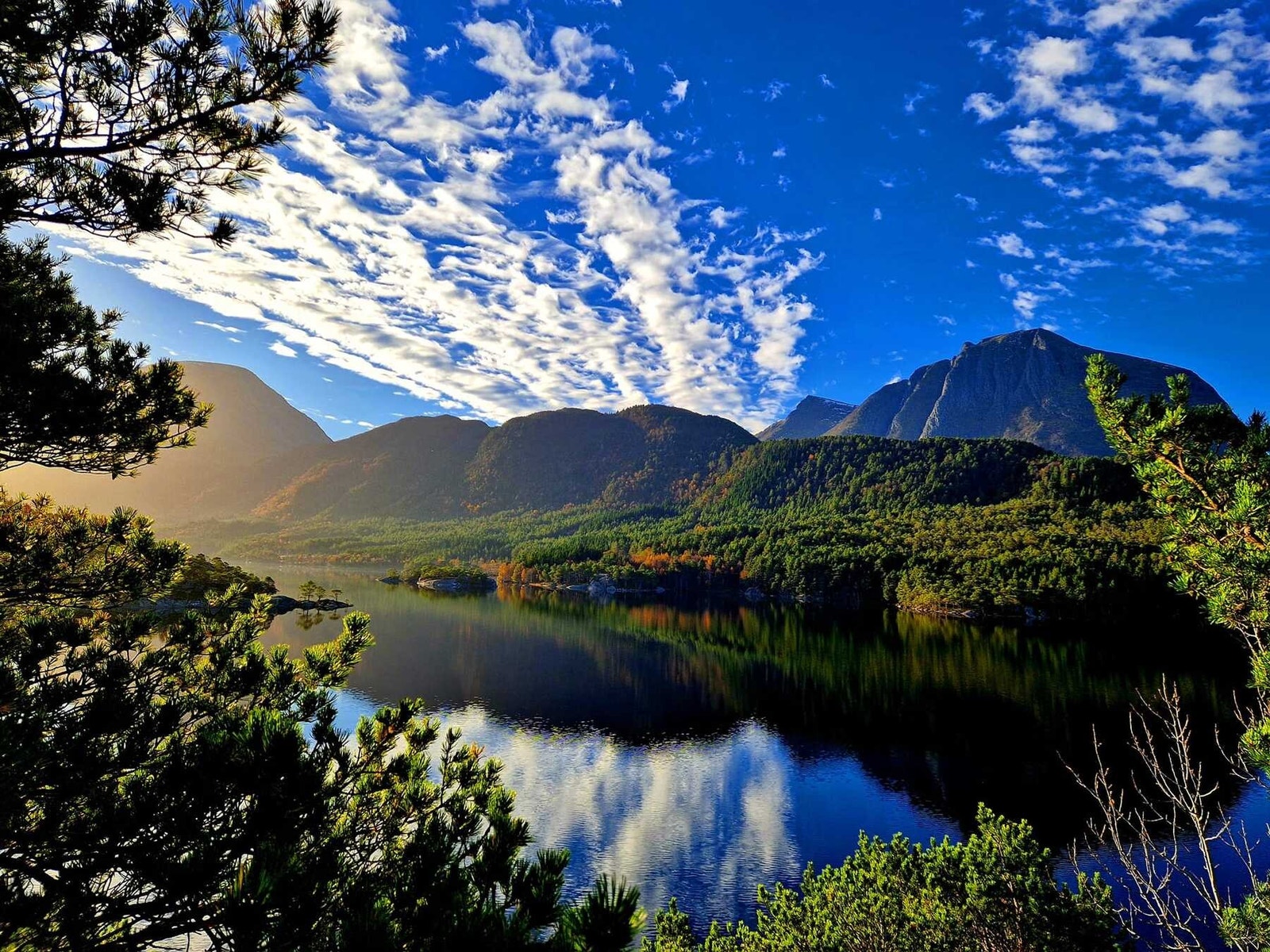 Stabblandet - vakkert! Galleribilde