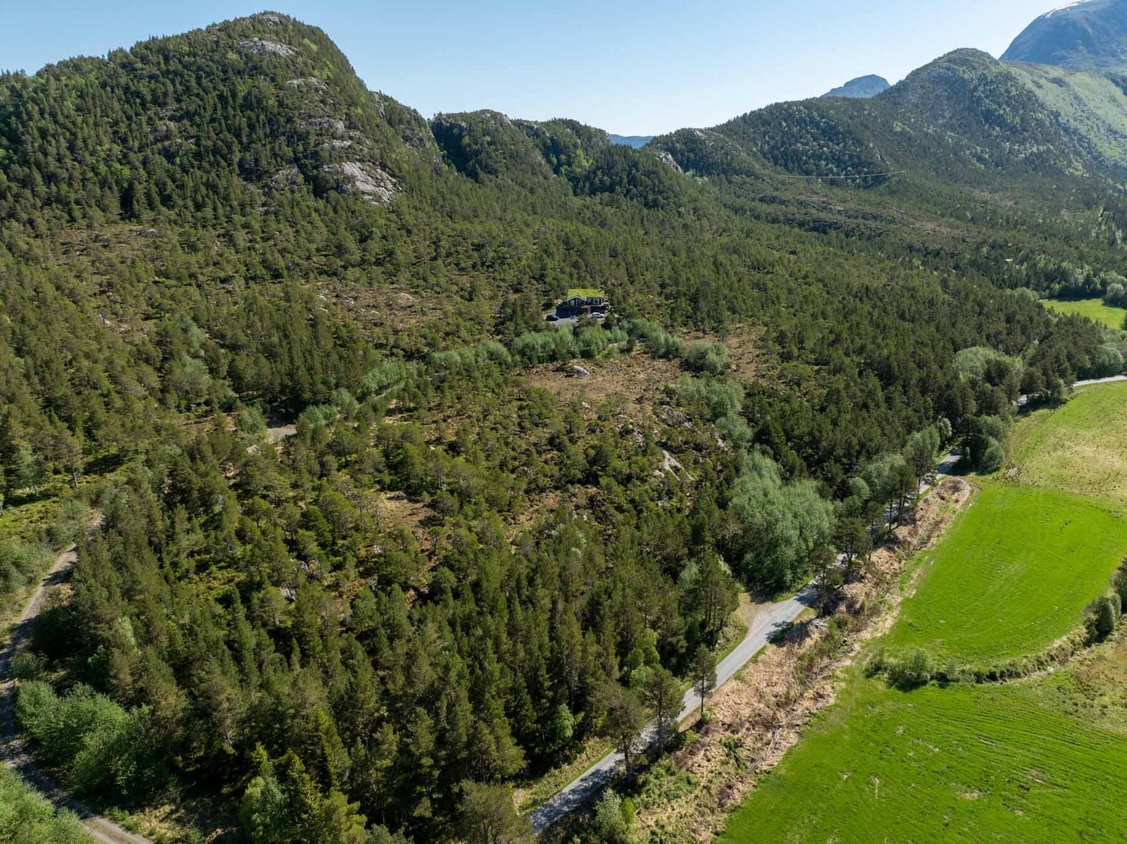 Tomteområdet og innover mot Solemsdalen Galleribilde