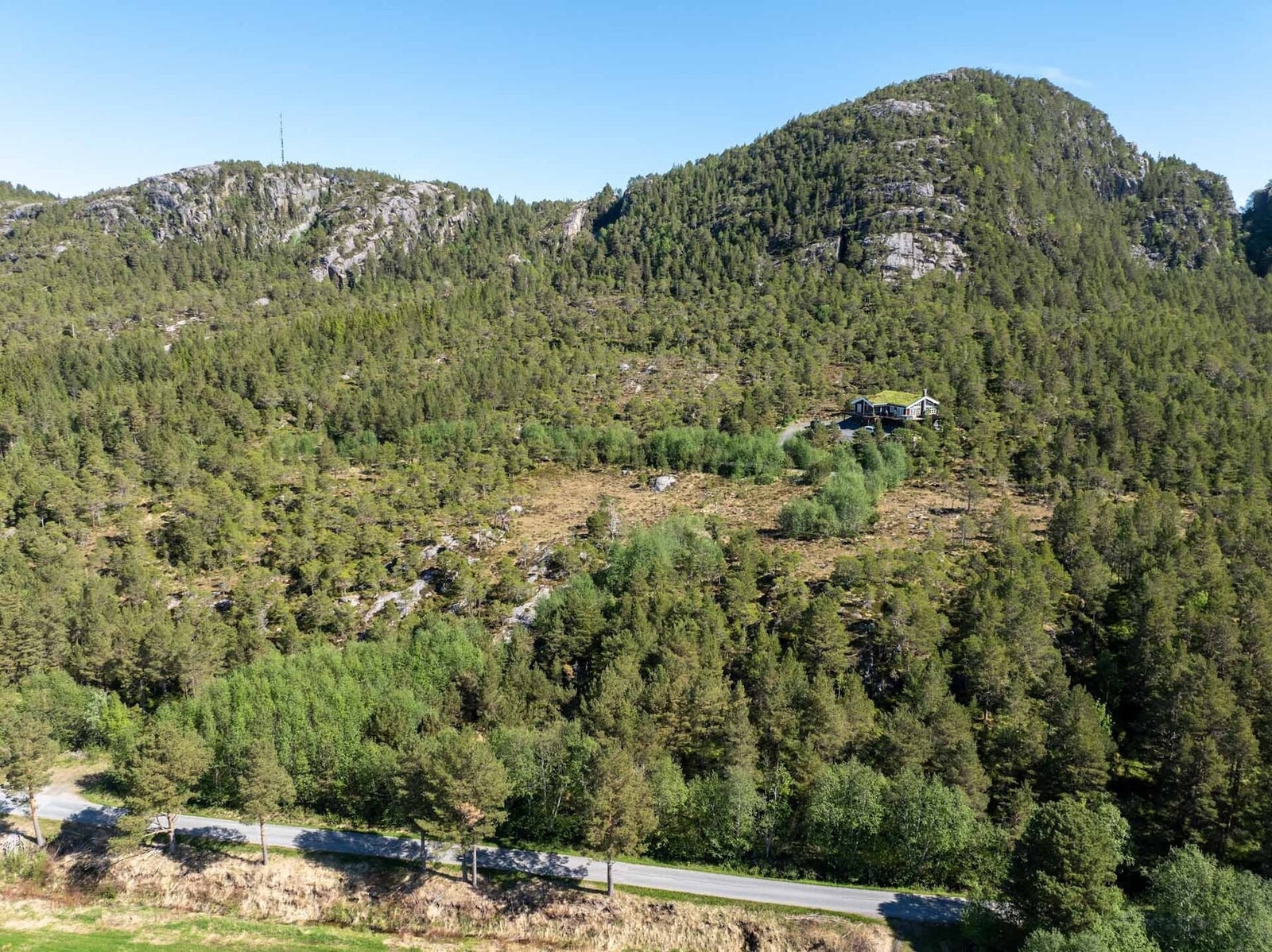 Tomteområdet og Trollskarhaugen bak Galleribilde