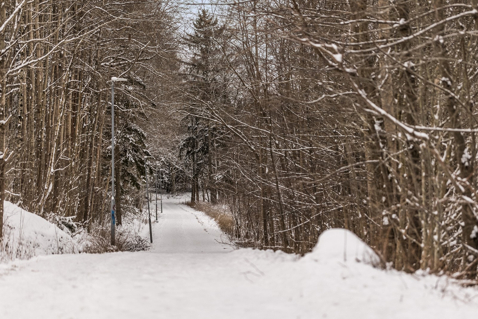 Det er gode bussforbindelser fra busstoppet Kommunelageret, fem minutters gange fra boligen. Galleribilde