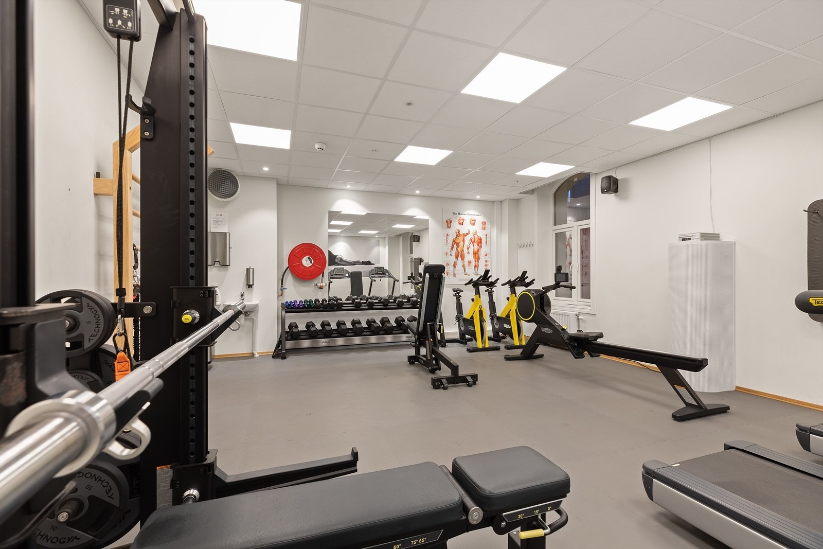 Flott felles treningsrom Galleribilde