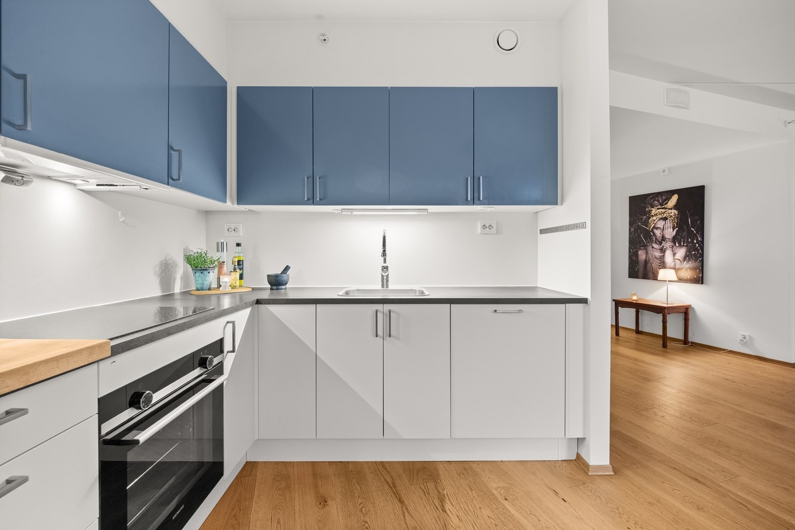 Kjøkkenet er utstyrt med integrerte hvitevarer som stekeovn, platetopp, kjøl/fryseskap og oppvaskmaskin Galleribilde