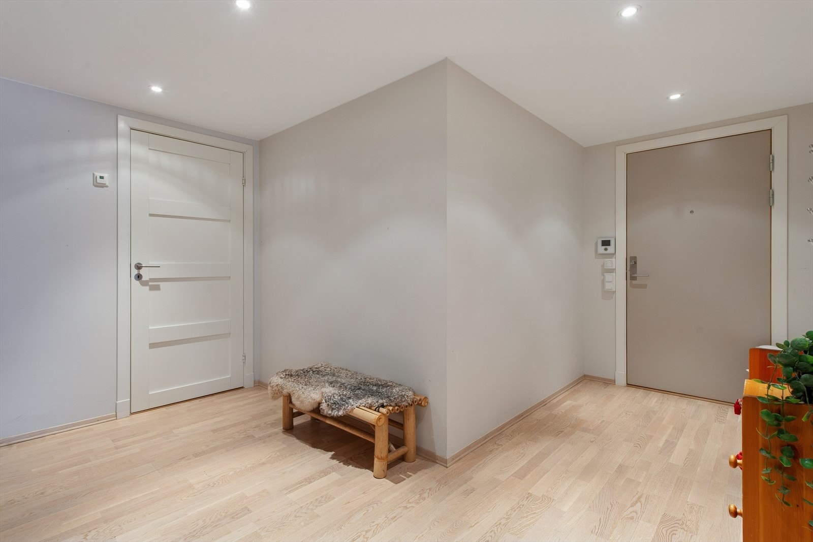 Du ønskes velkommen inn i en romslig entre, godt belyst med spotlights og pene flater. Galleribilde