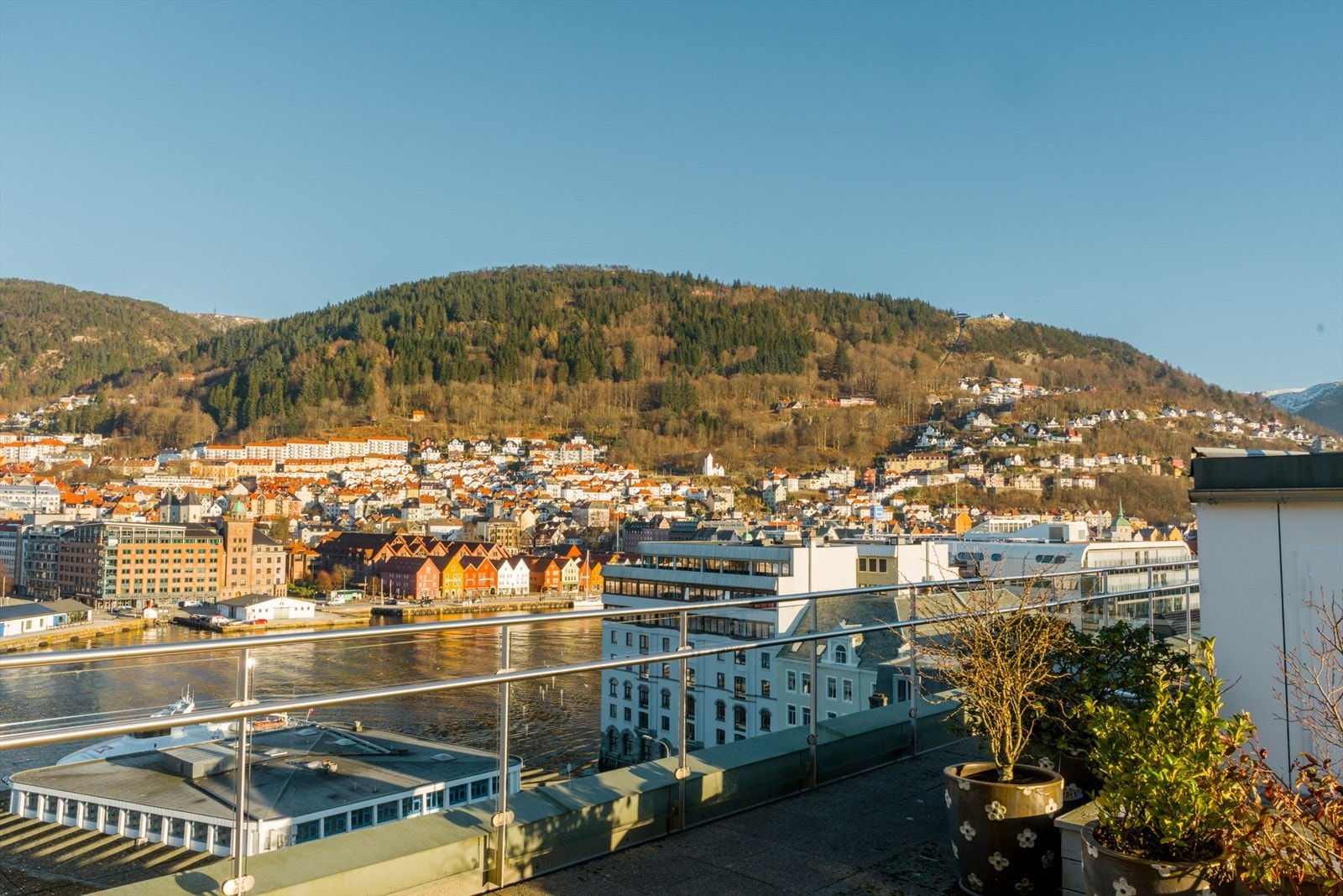 Her kan man nyte gode solforhold Galleribilde