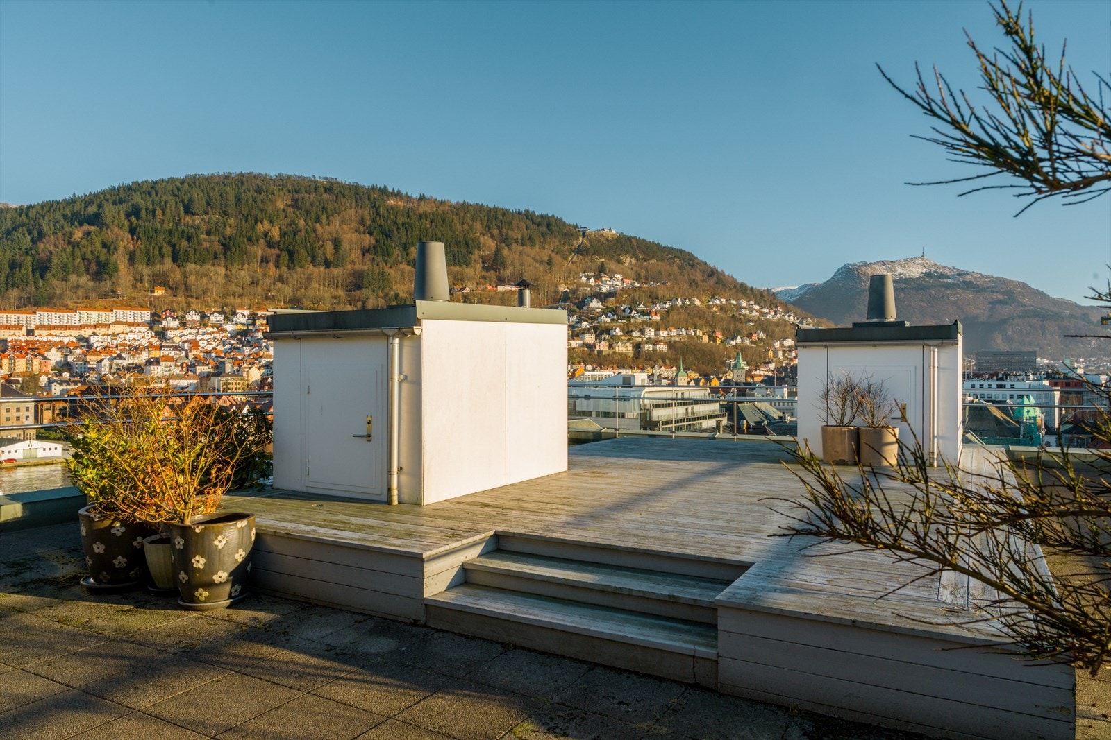 Felles takterrasse Galleribilde