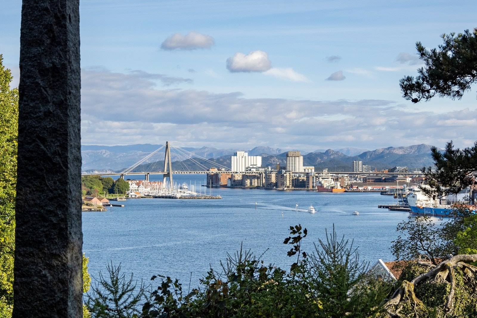 Verven fra avstand Galleribilde