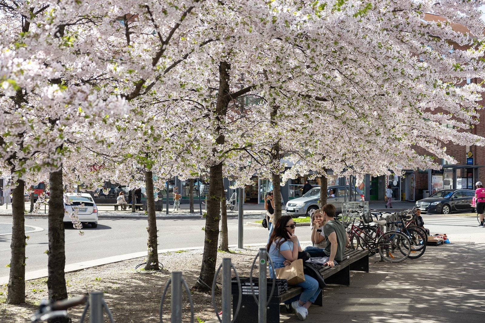 Fra leiligheten er det kort avstand til "alt" man trenger i det daglige. Galleribilde