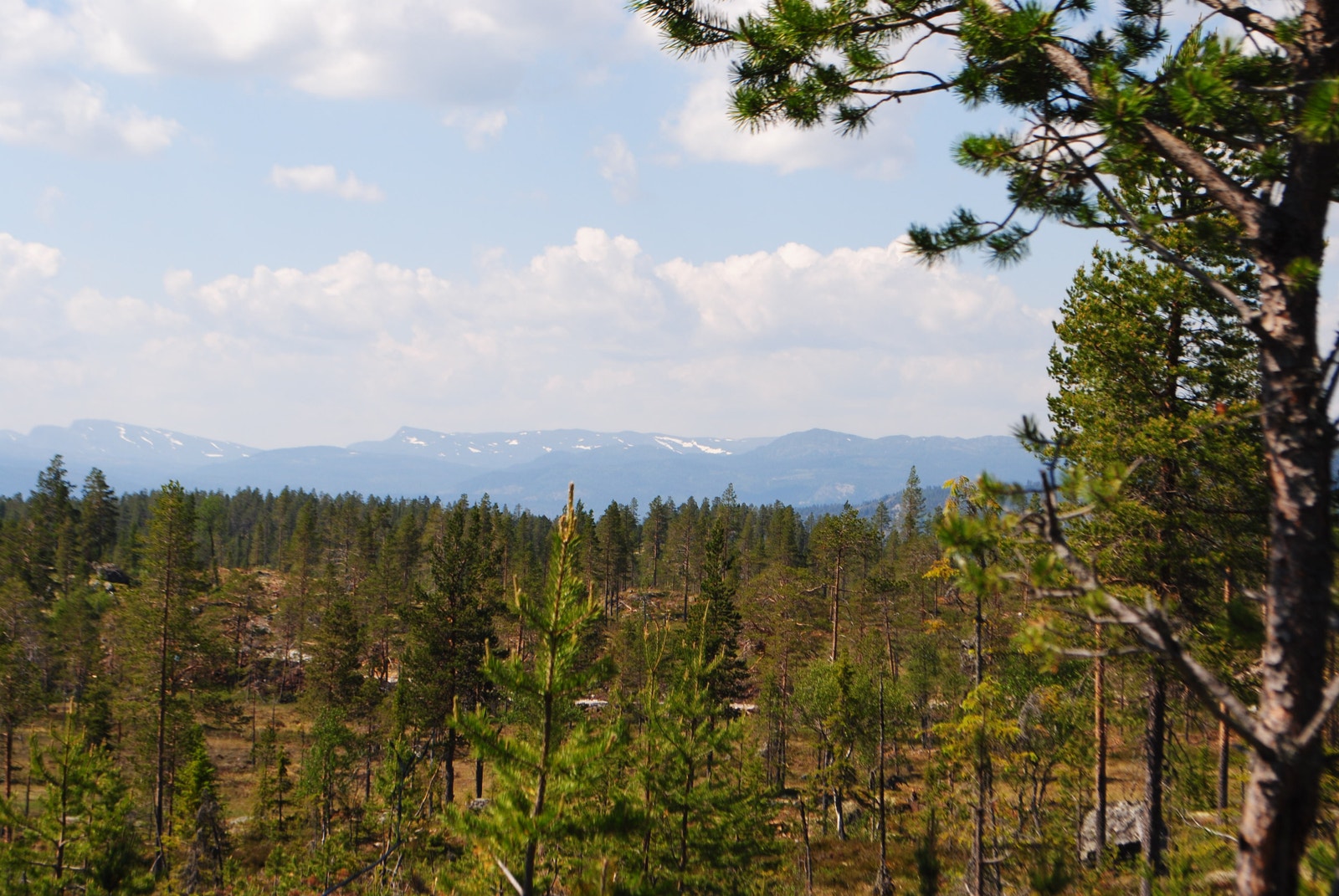 Utsikt mot Hallingnatten Galleribilde