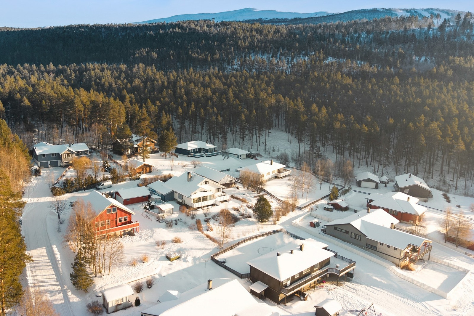 Velkommen til en hyggelig visning! Galleribilde