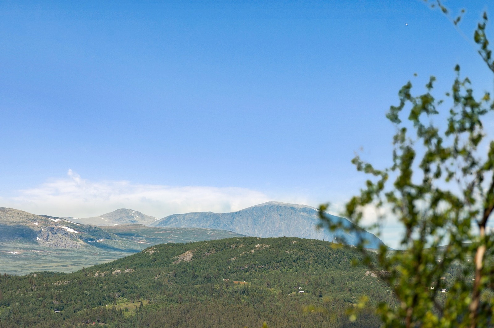 Opplev området til fots eller på guidet ridetur Galleribilde