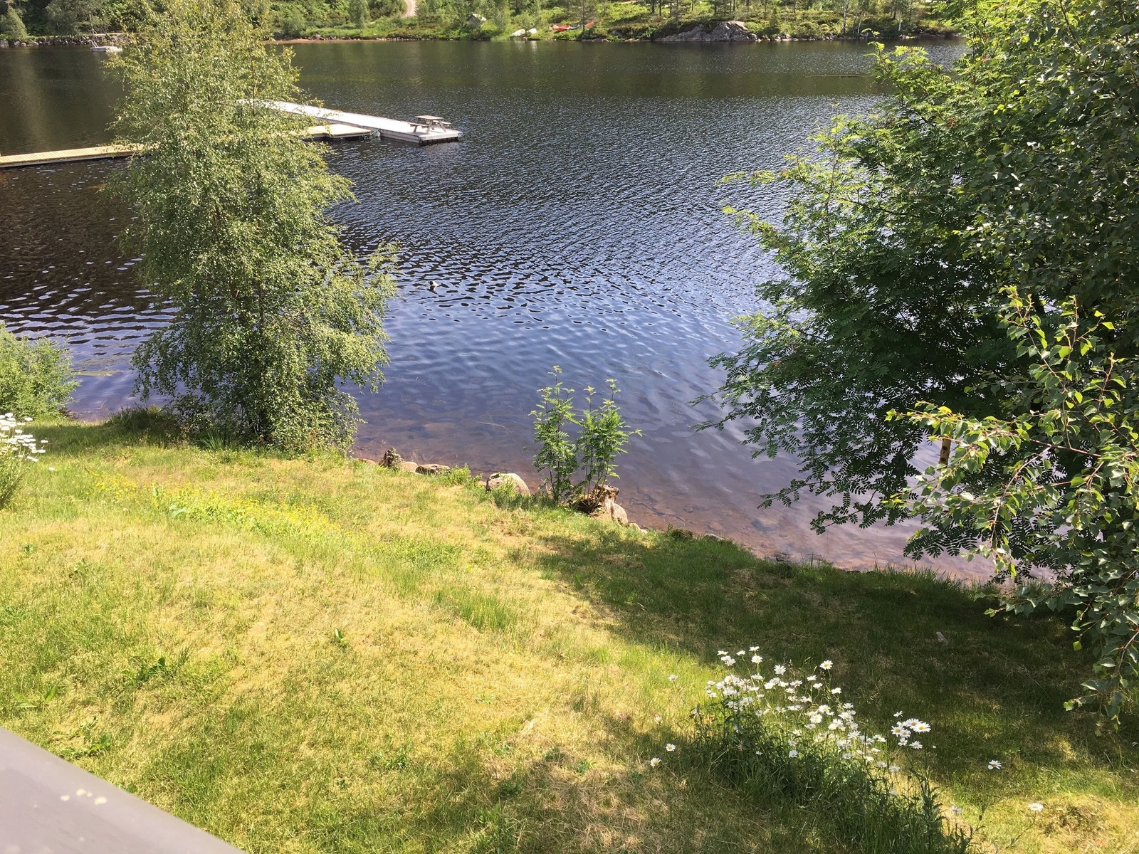 Fra terrassen og ned mot vannet Galleribilde