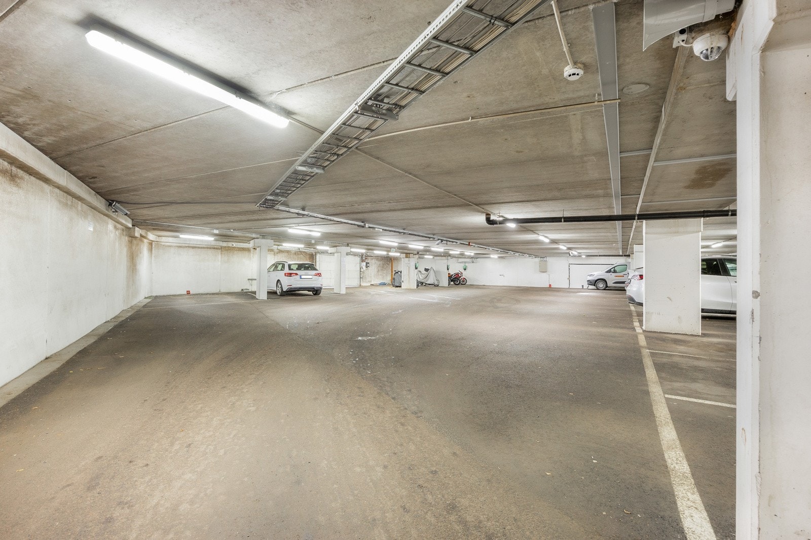 _10A5959.jpg Galleribilde