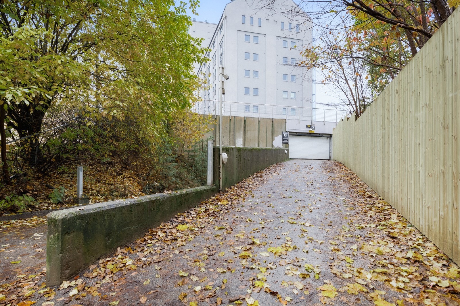 _10A5974.jpg Galleribilde