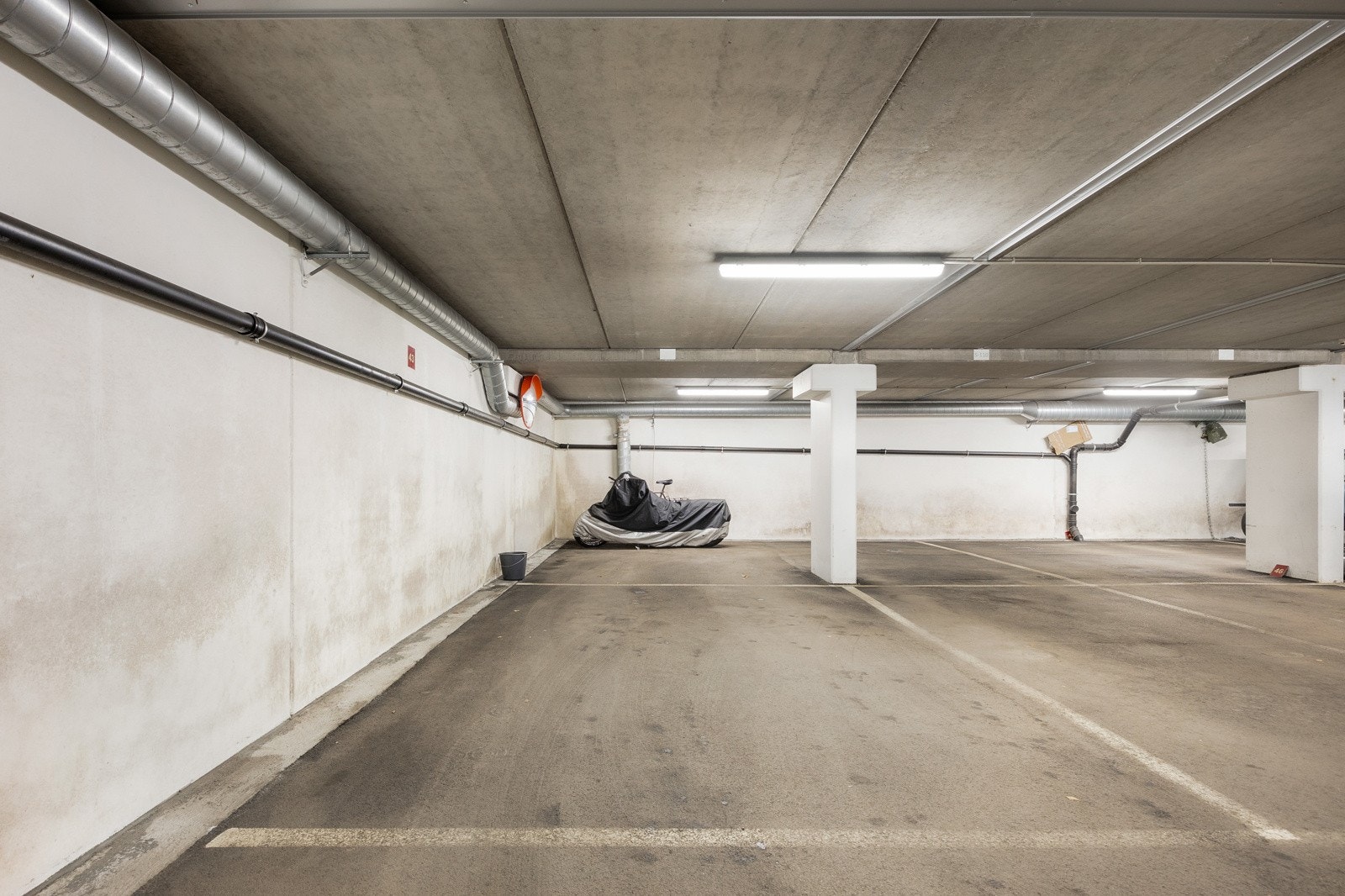 _10A5929.jpg Galleribilde