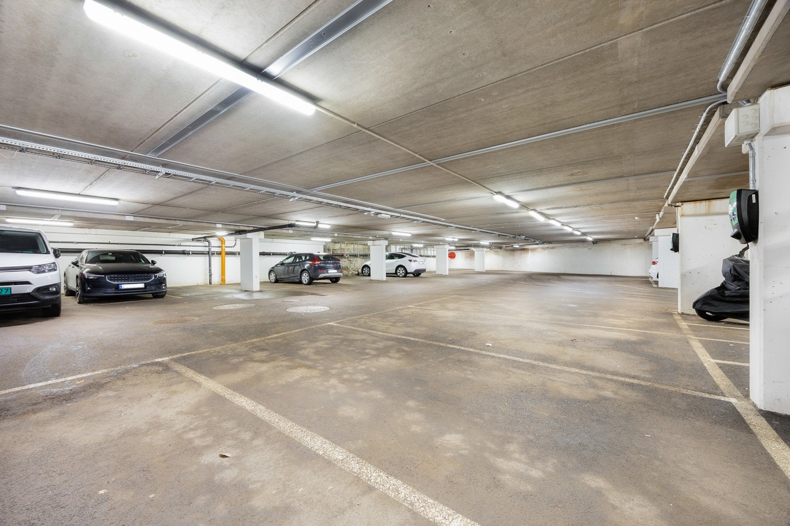 _10A5968.jpg Galleribilde