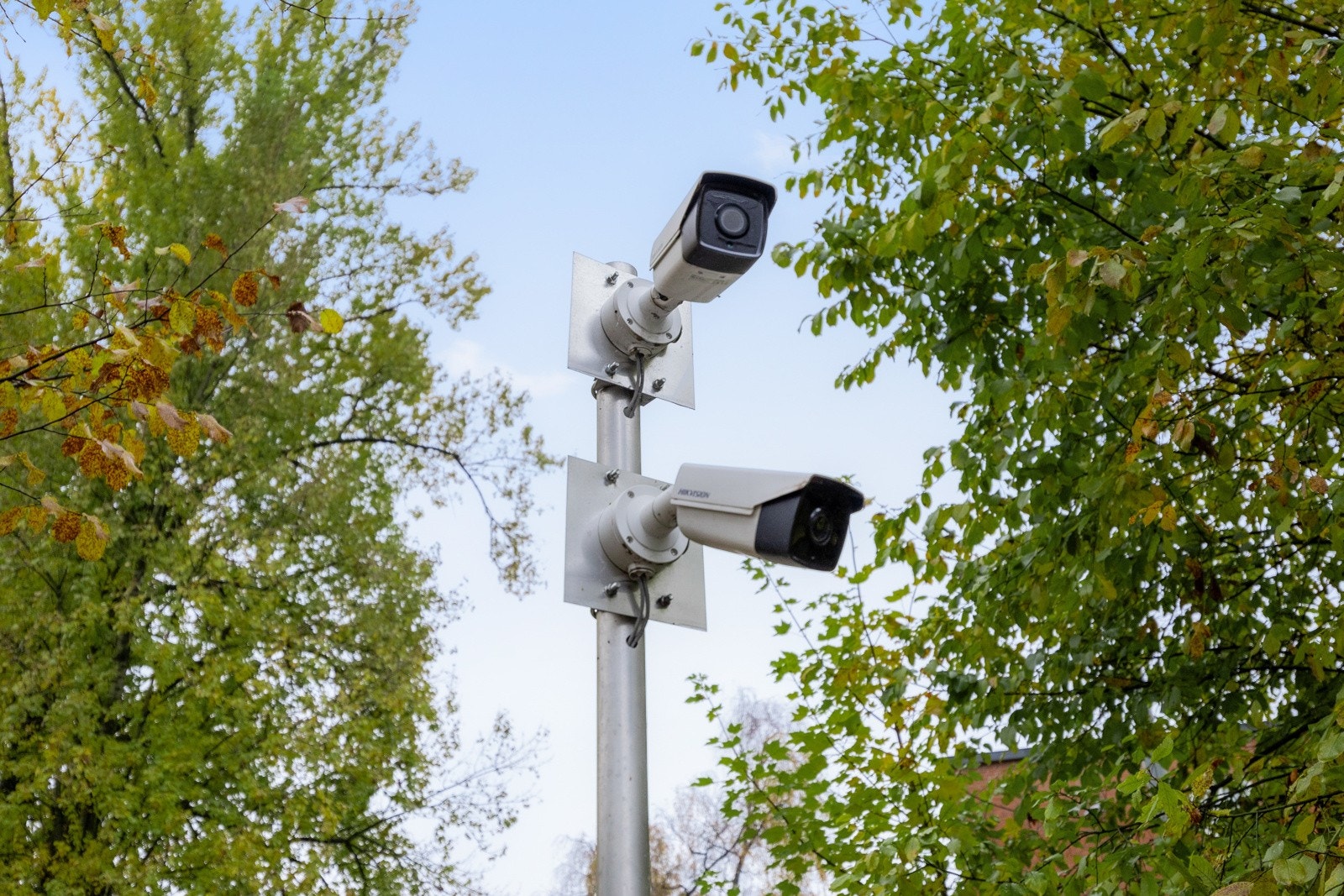 _10A5982.jpg Galleribilde