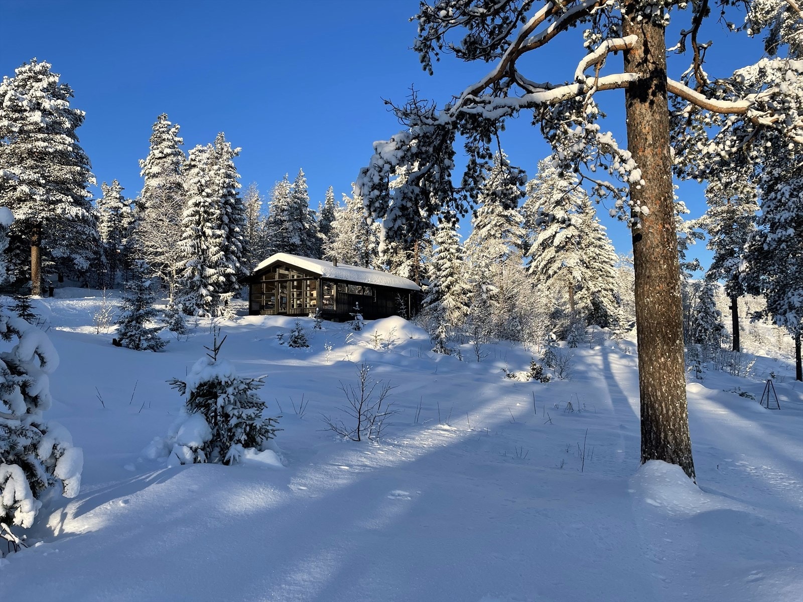Snøsikkert og vakkert vinterlandskap i Trysilfjellet Galleribilde