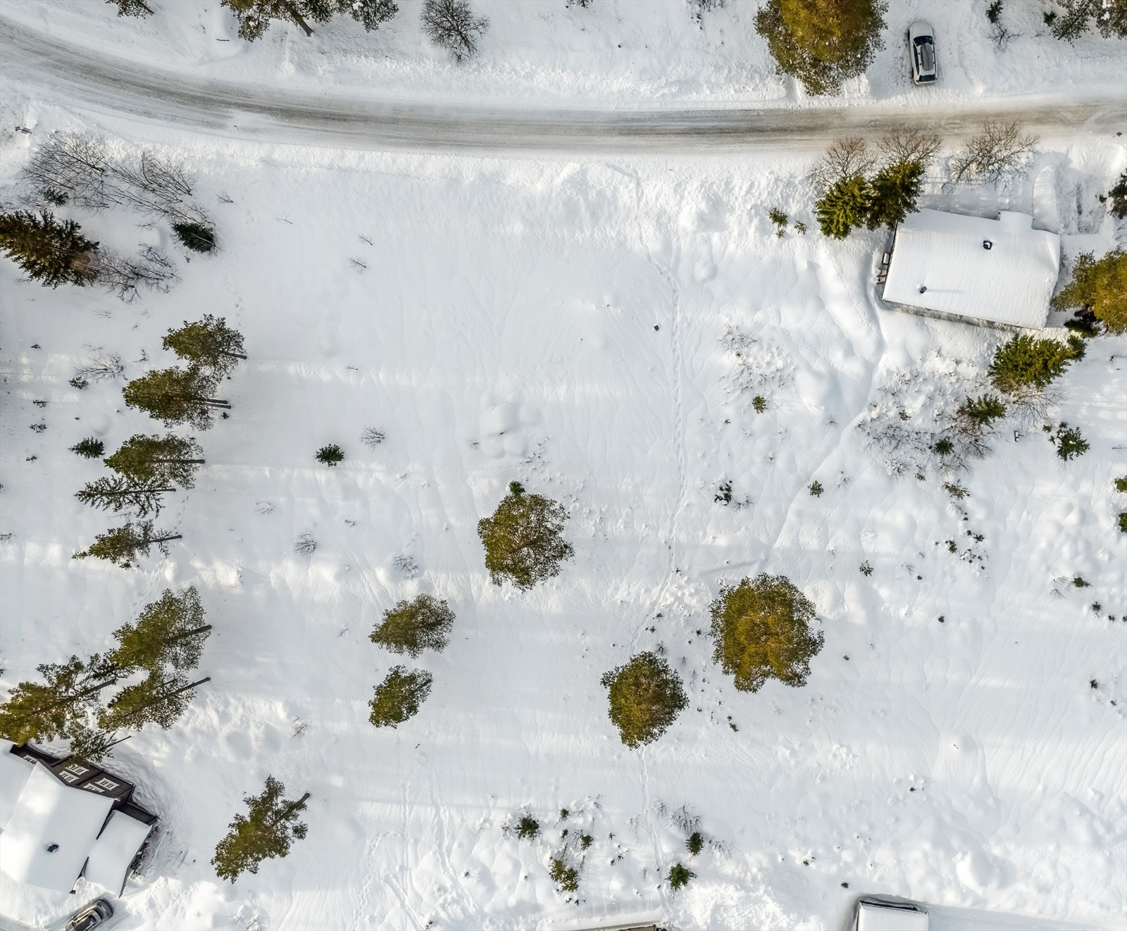 Romslig tomt med muligheter for videreutvikling av eiendommen Galleribilde