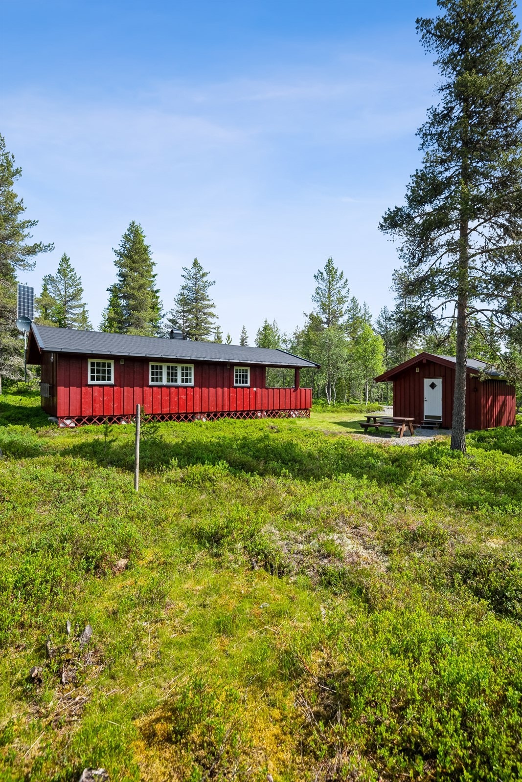 Hammarseterhøgda 148! Galleribilde